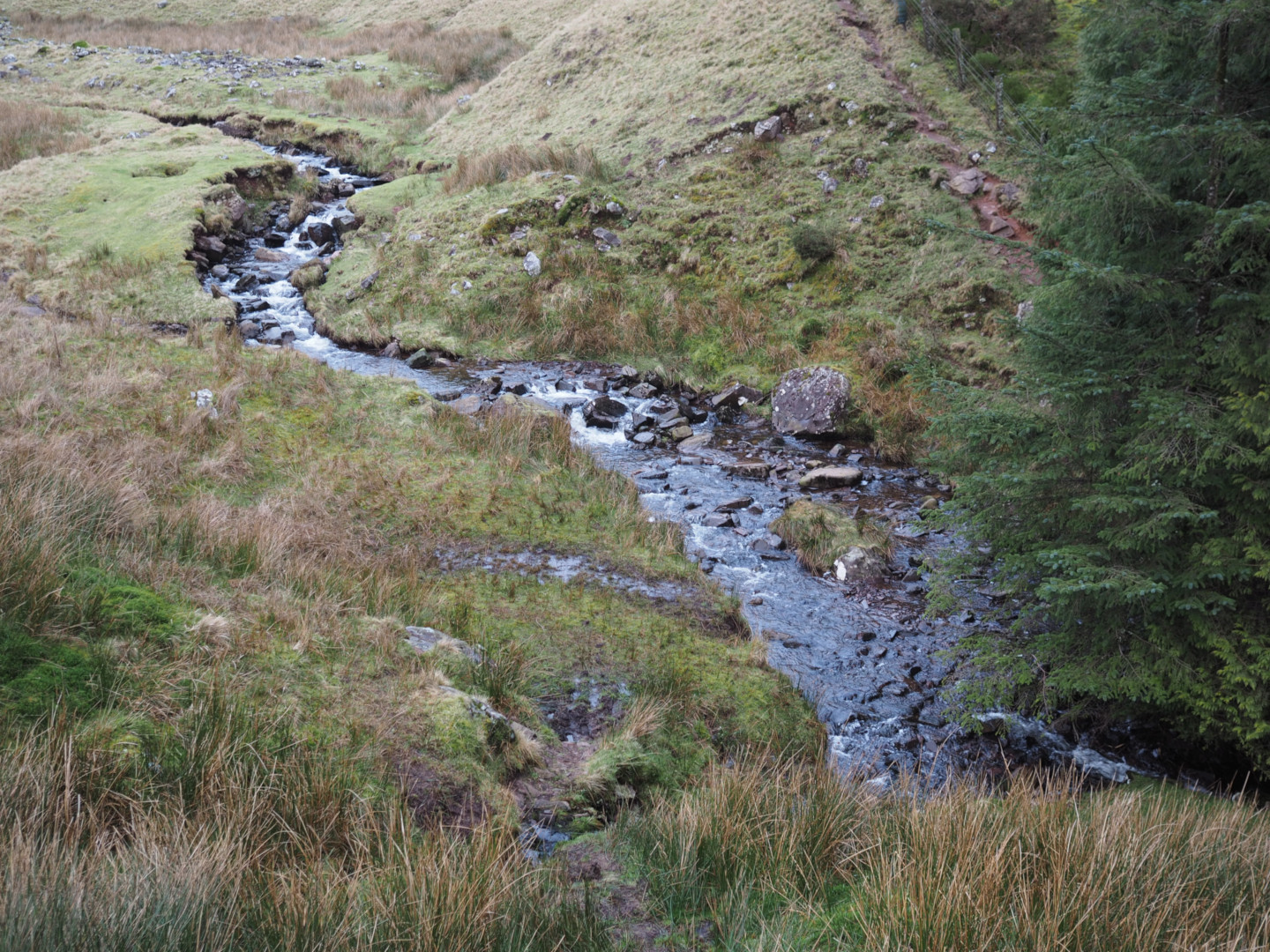 A shot of the stream as it leads down into the forested area. Several rocks can be seen that have naturally fallen into it’s path. To the right can be seen the beginning of a large wall of trees.