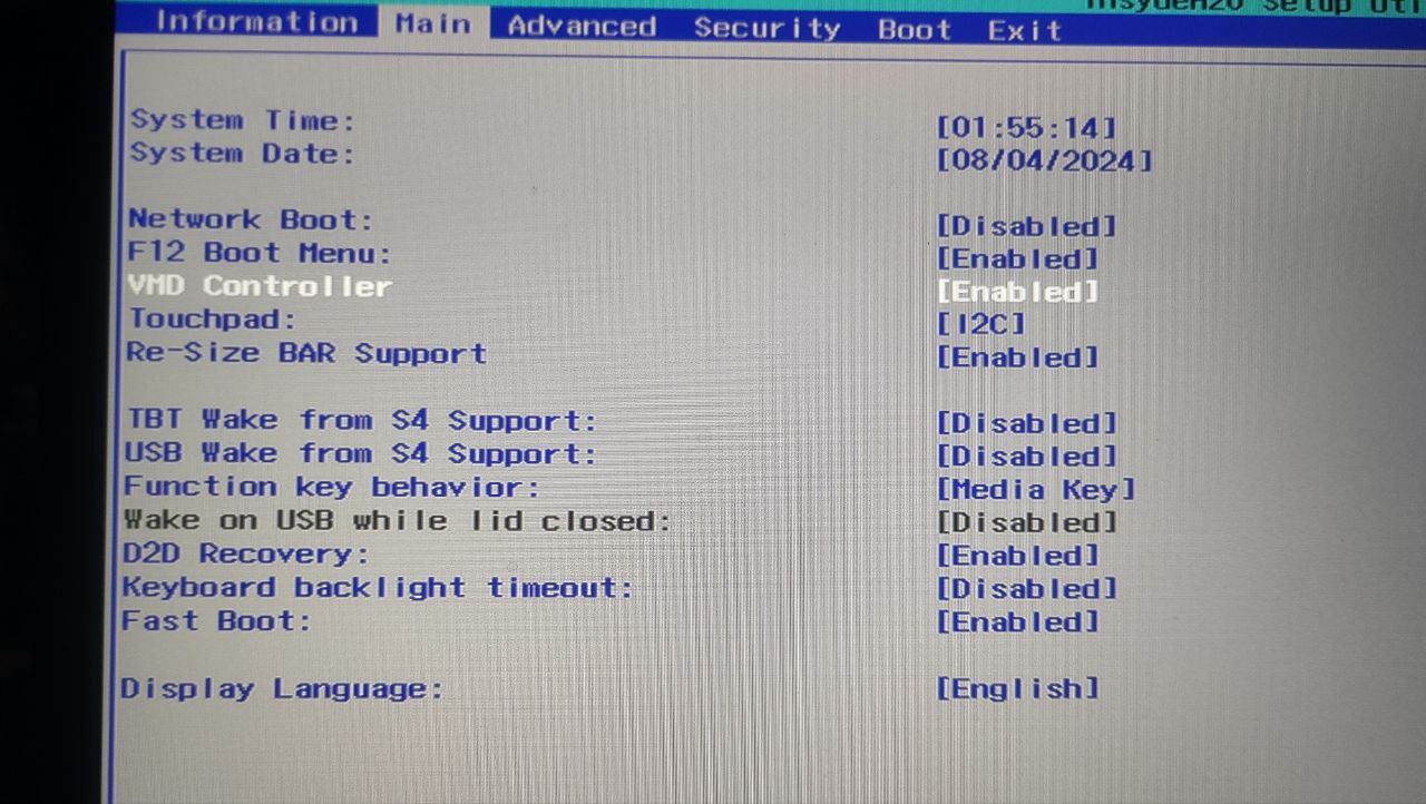 A picture of my laptop’s UEFI (BIOS), now with extra options related to the VMD controller, touchpad support, and resizable BAR.